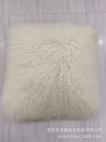 High-grade Fur Beach Wool Pillow (Option: Beige-45 X45cm With Core)